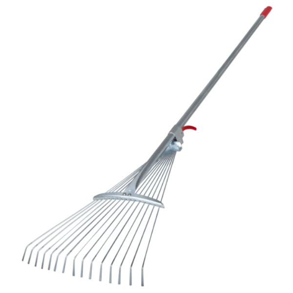 Grebla evantai cu coada