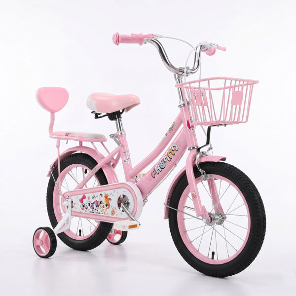 BICICLETA 20 INCH, FETE