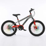 BICICLETA 20 INCH, MTB COPII