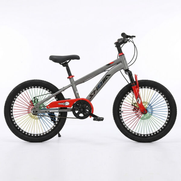 BICICLETA 20 INCH, MTB COPII
